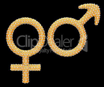 Golden gender symbols inlaid with diamonds