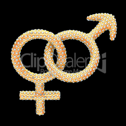 Golden gender symbols inlaid with gems