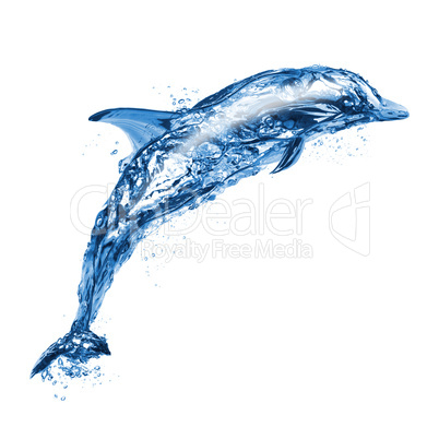 Jumping water dolphin