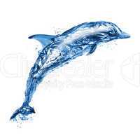 Jumping water dolphin