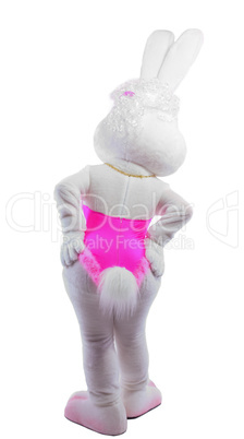 bunny girl mascot costume take a hip