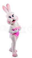 bunny girl mascot costume take a breast