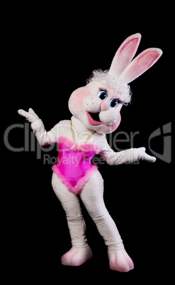 bunny girl mascot costume on black
