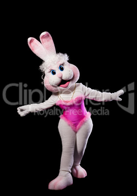 bunny girl mascot costume dance