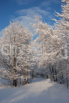 Winterlandschaft