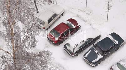 cars in the snow