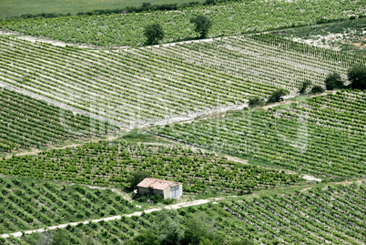 Landschaft der Provence / Landscape of Provence