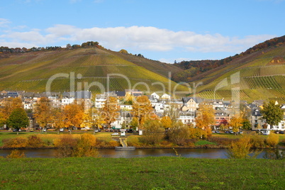 Zeltingen an der Mosel