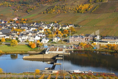 Wintrich an der Mosel