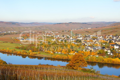 Wintrich an der Mosel