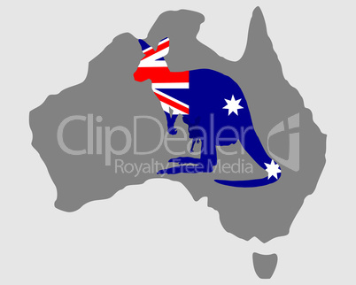 Australisches Känguru