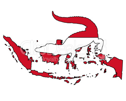 Krokodil Indonesien