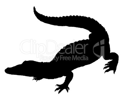 Krokodil Silhouette
