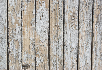 background of weathered white painted wood