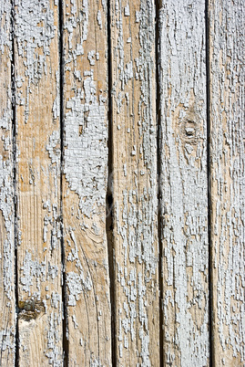 background of weathered white painted wood