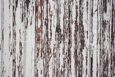 Wood panel with chipped paint. Grunge Style