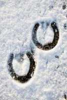Footprint of a Horse