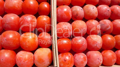 Red Persimmon fruits in autumn