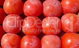 Red Persimmon fruits in autumn