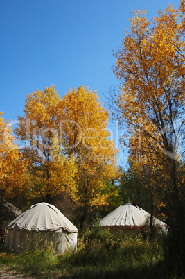 Tents in the autumn woods