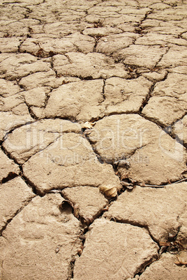 Dried and cracked earth