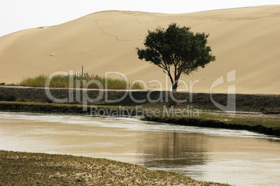 Landscape of river and sandhills with a single tree