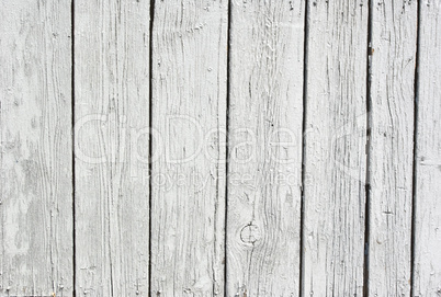 background of weathered white painted wood