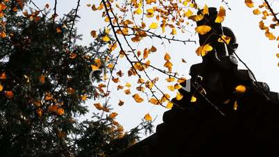 autumn_3