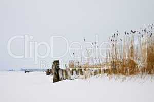 Bodden im Winter