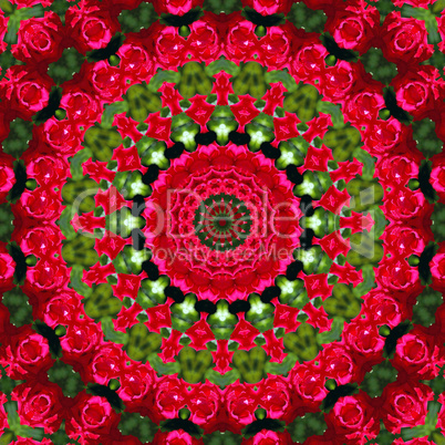 Rote Rosen Mandala - Red Roses Mandala