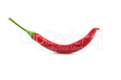 Red chili pepper