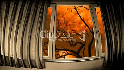 Looking out of window at timelapse clouds flowing past bare leafless tree