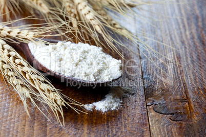 Mehl und Getreideähren / flour and cereal ears