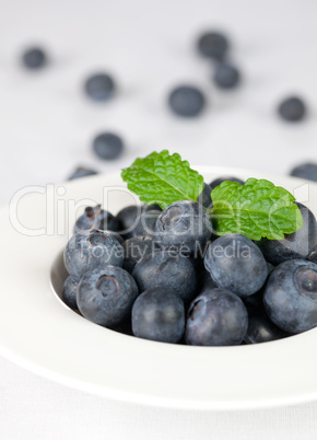 frische Blaubeeren in einer Schale / fresh blueberries in a bowl