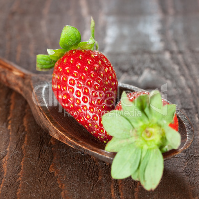 Erdbeeren auf Holzlöffel / strawberries on wooden spoon