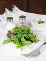 Salat und Dressing / salad with dressing salt and pepper