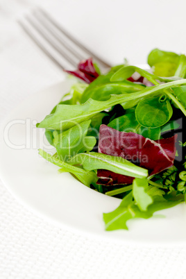 frischer Salat auf Teller / fresh salad on plate