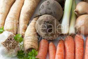 Gemüse - Vegetables