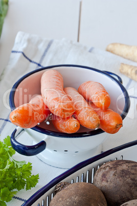 Karotten - Carrots