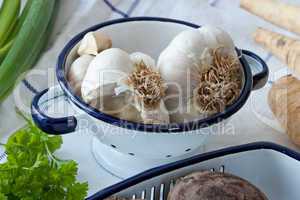 Knoblauch - Garlic