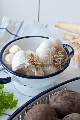 Knoblauch - Garlic