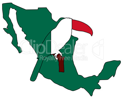 Tukan Mexiko