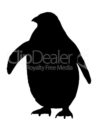 Pinguin Silhouette