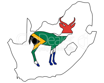 Südafrika Antilope