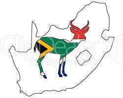 Südafrika Antilope