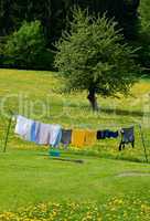 Clothesline in a Spring Field