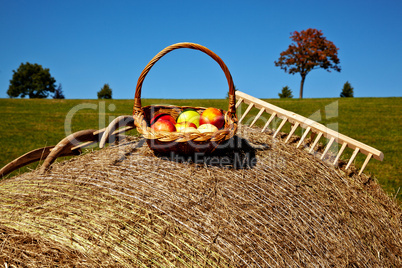 Picknick bei der Heuernte 975