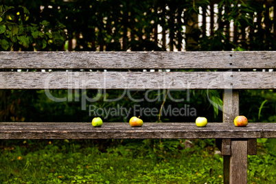 Apfel auf Holzbank 442