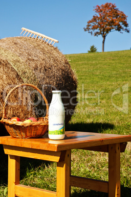 Picknick bei der Heuernte 994