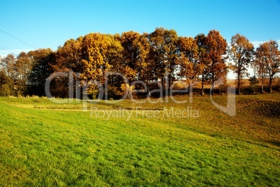 Landschaft im Herbst 736